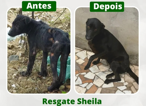 Terceira imagem de resgate